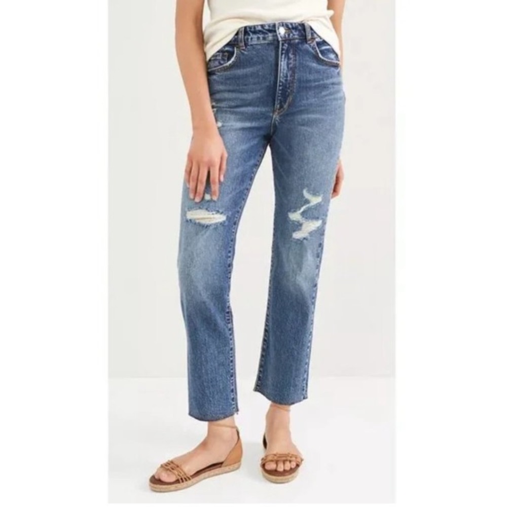 Pilcro the vintage straight sz 29 jeans Anthropologie